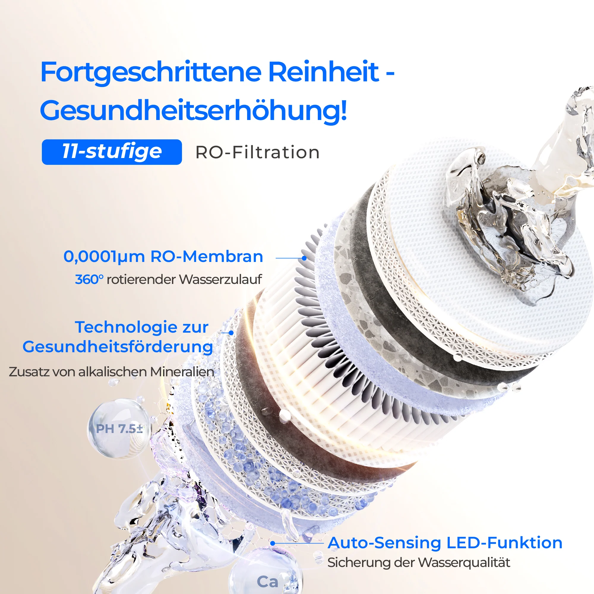 Vorschaubild 5